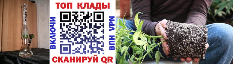 Где купить Ступино A-PVP  Гашиш  COCAIN 