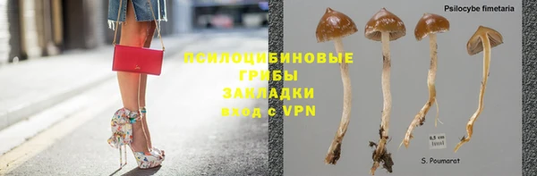 хмурый Балахна