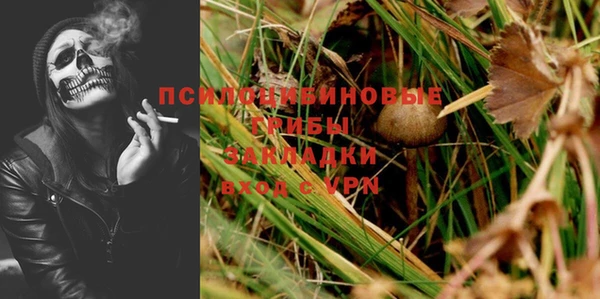 хмурый Балахна