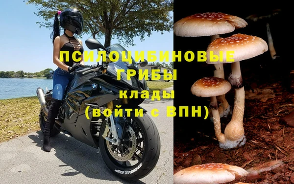 прущие крисы Баксан
